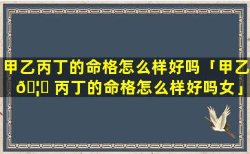 甲乙丙丁的命格怎么样好吗「甲乙 🦍 丙丁的命格怎么样好吗女」